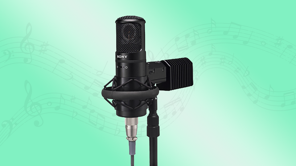 Sony C-800G Studio Tube Condenser Microphone
