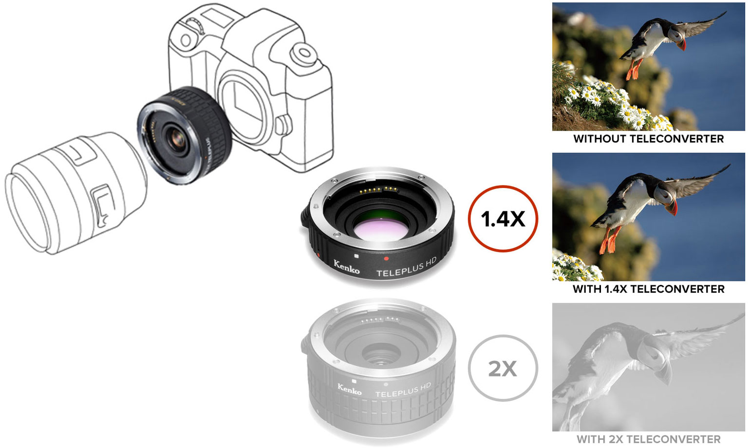 Kenko TELEPLUS HD DGX 1.4x Teleconverter