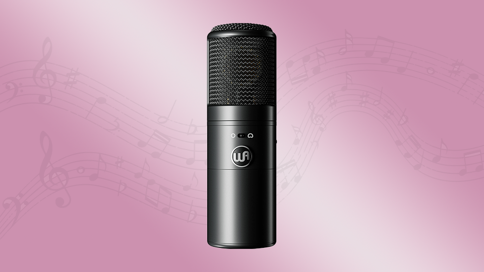 Warm Audio WA-8000 Large-Diaphragm Multipattern Tube Condenser Microphone
