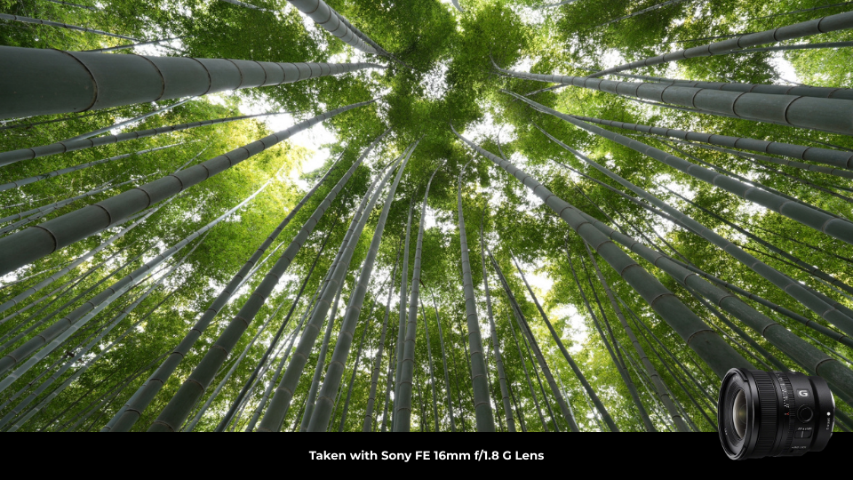 Sony FE 16mm f/1.8 G Lens