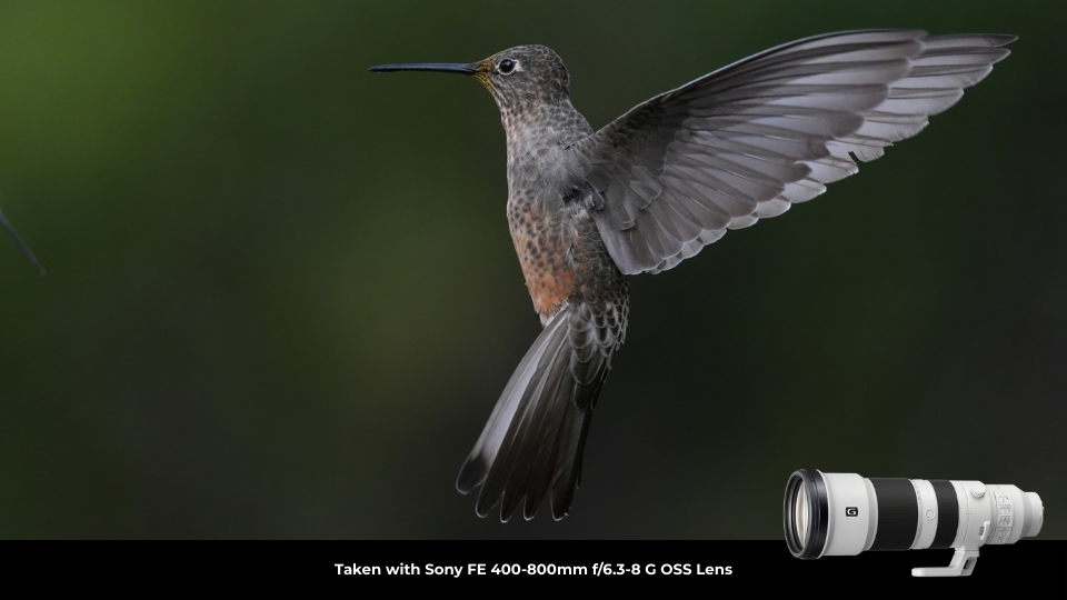 Sony FE 400-800mm f/6.3-8 G OSS Lens