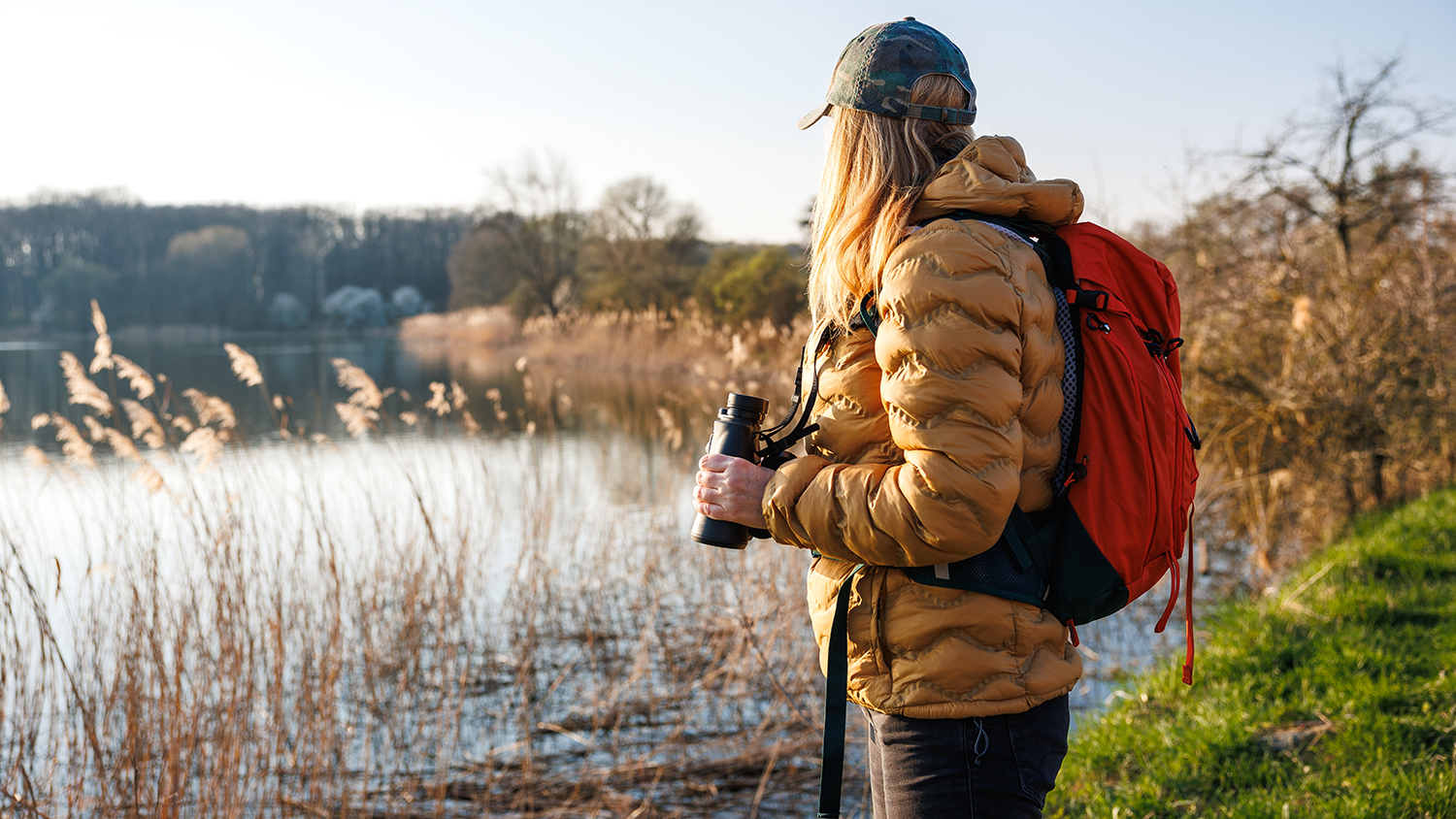 Patience is arguably the most important trait of a bird watcher. The ability to spend long lengths of time in nature is not always possible but do what you can.