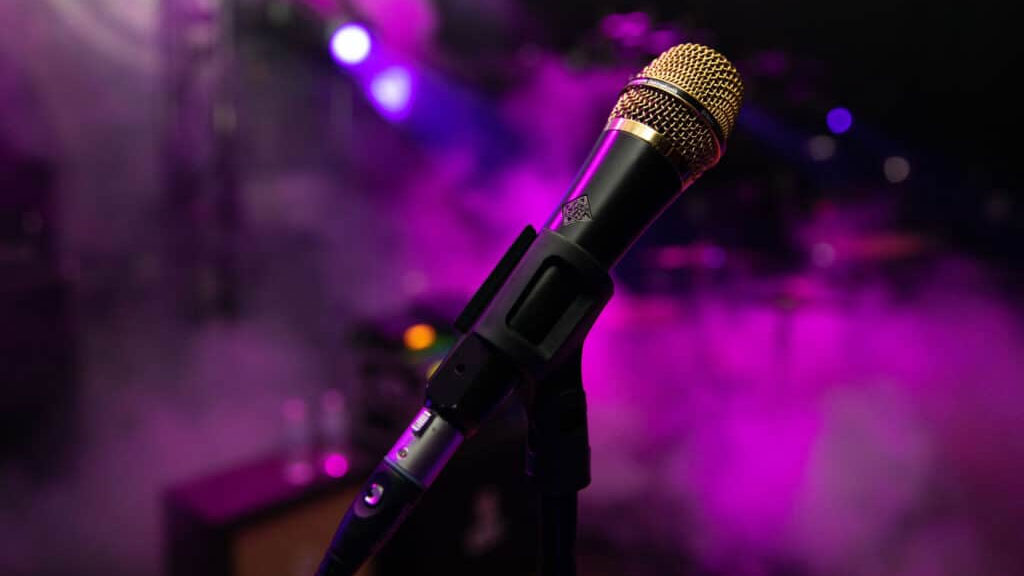 Telefunken M80 Custom Handheld Supercardioid Dynamic Microphone