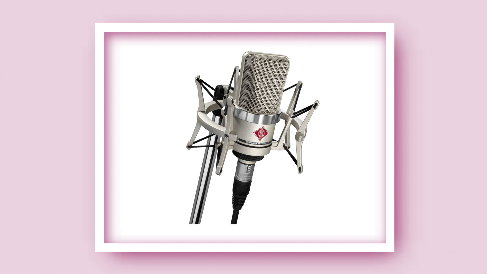 Neumann TLM 102 Studio Set Large-Diaphragm Cardioid Condenser Microphone with Shockmount Neumann TLM 102 Studio Set Large-Diaphragm Cardioid Condenser Microphone with Shockmount
