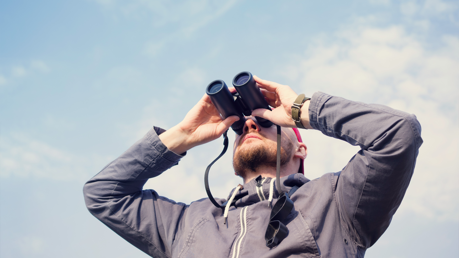 Birding with Binoculars