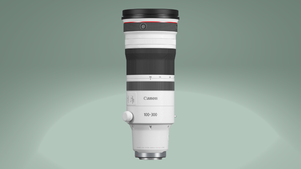 Canon RF 100-300mm f/2.8 L IS USM