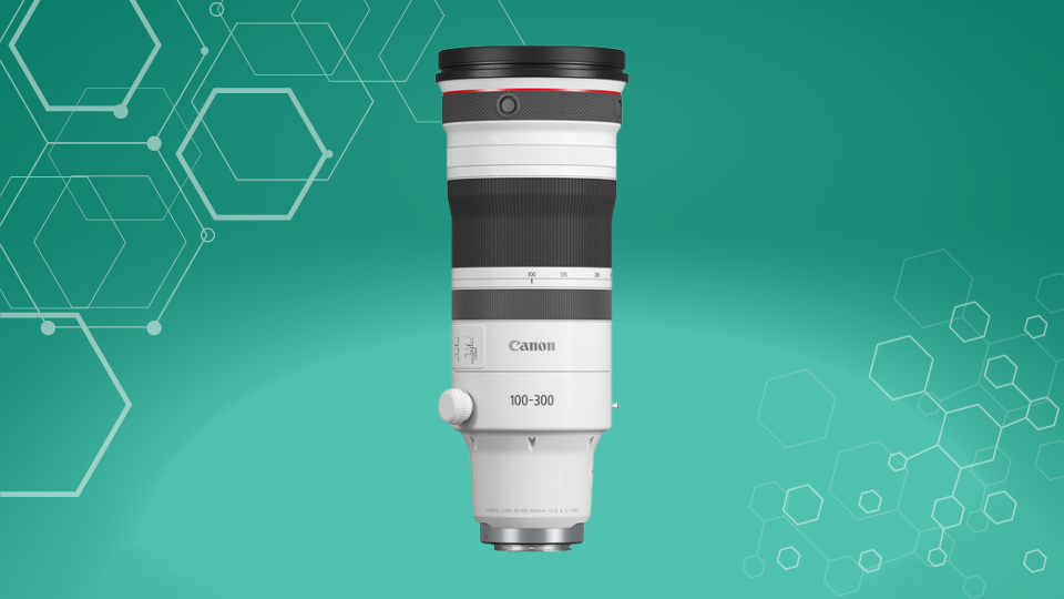 Canon RF 100-300mm f/2.8 L IS USM
