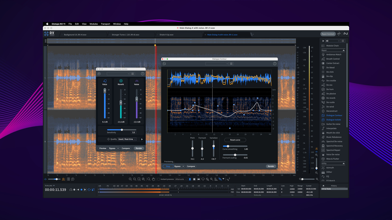 iZotope RX 11 Standard Audio Restoration and Enhancement Software