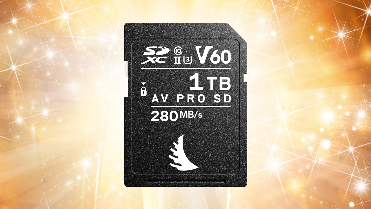 Angelbird 1TB AV Pro MK2 UHS-II SDXC Memory Card Angelbird 1TB AV Pro MK2 UHS-II SDXC Memory Card