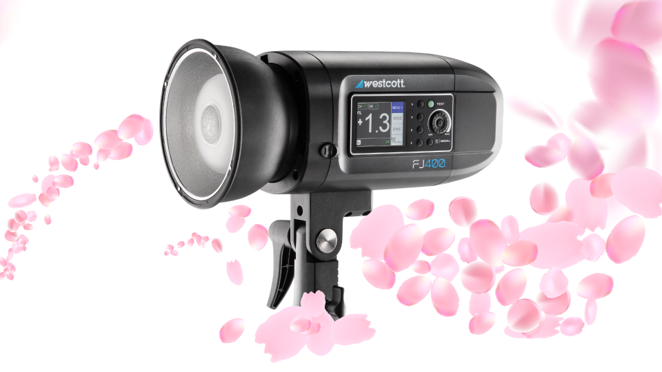 Westcott FJ400 400Ws Strobe with AC/DC Battery