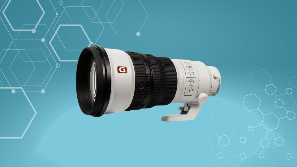 Sony FE 300mm f/2.8 GM OSS