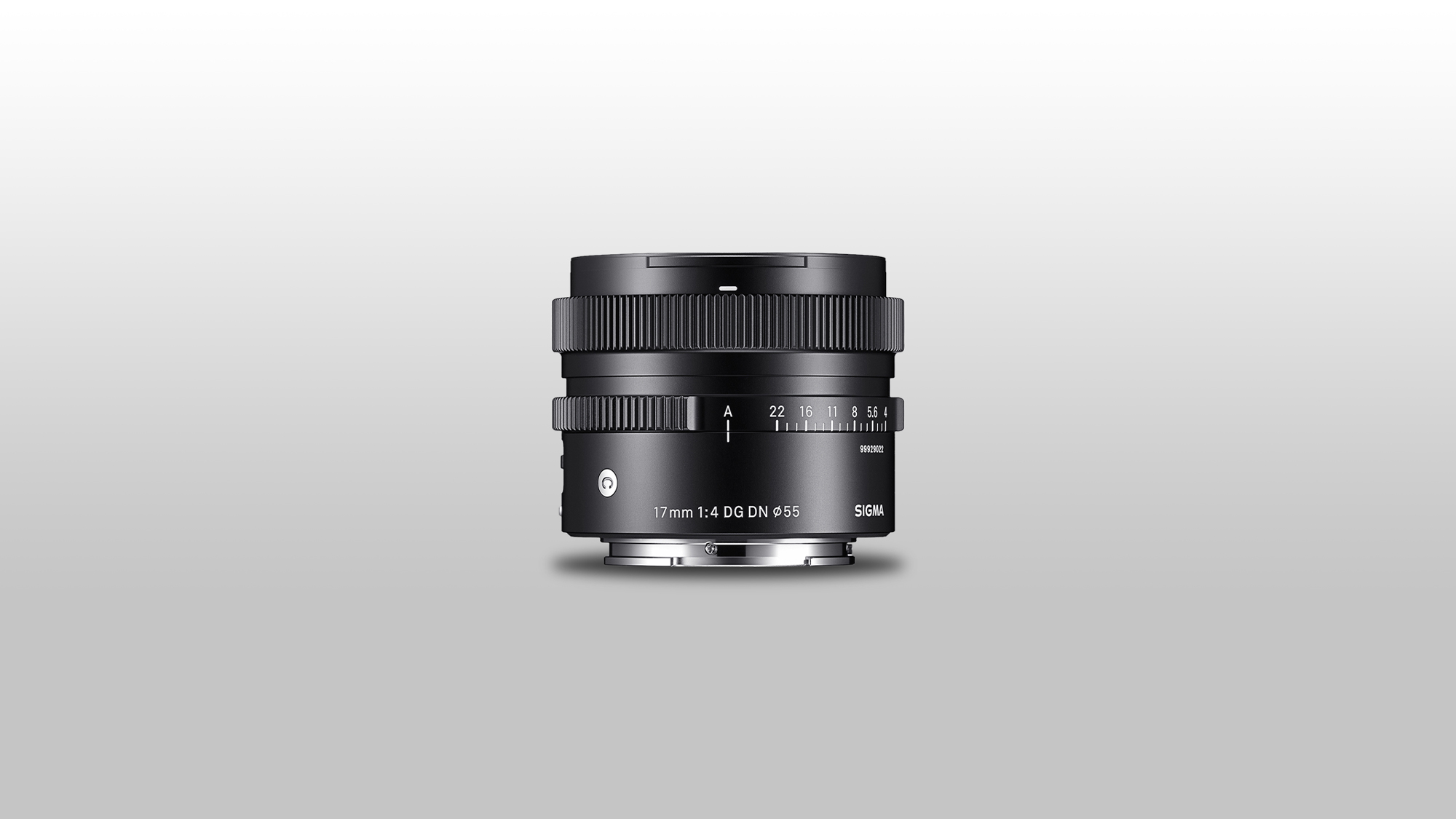 17mm f/4 DG DN
