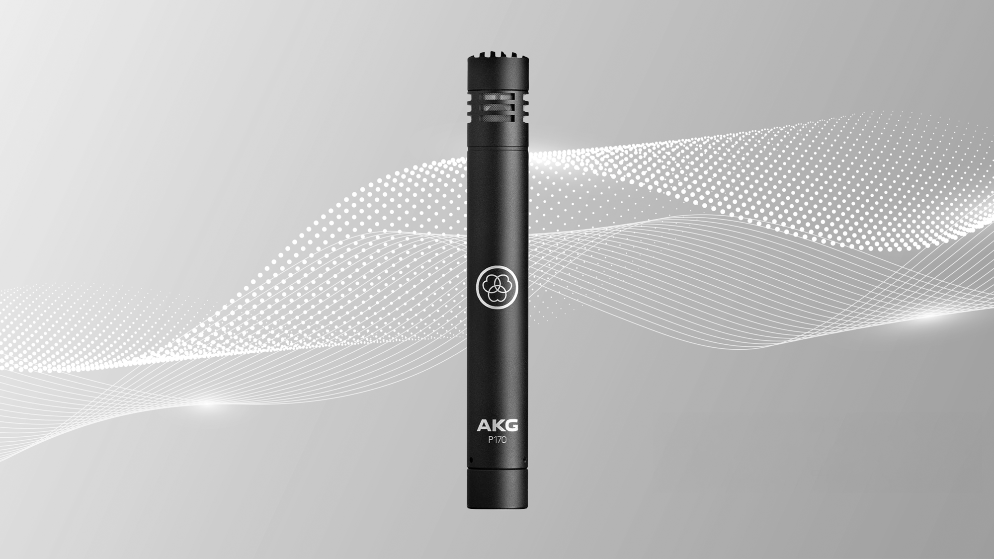AKG P170 Small-Diaphragm Condenser Microphone