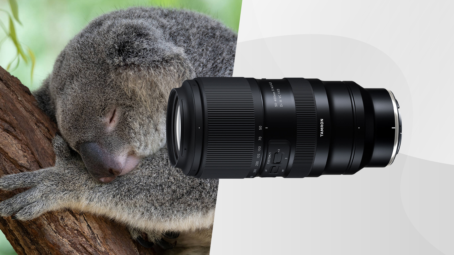 Tamron 50-400mm f/4.5-6.3 Di III VC VXD Lens (Nikon Z)