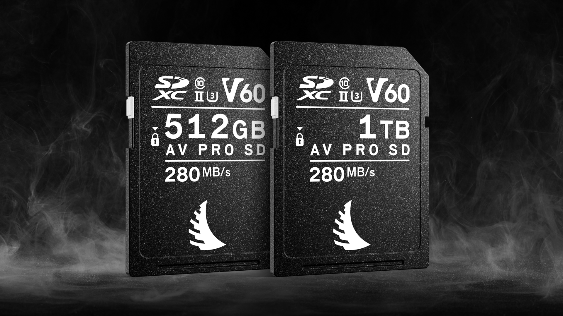 V60 Memory Cards