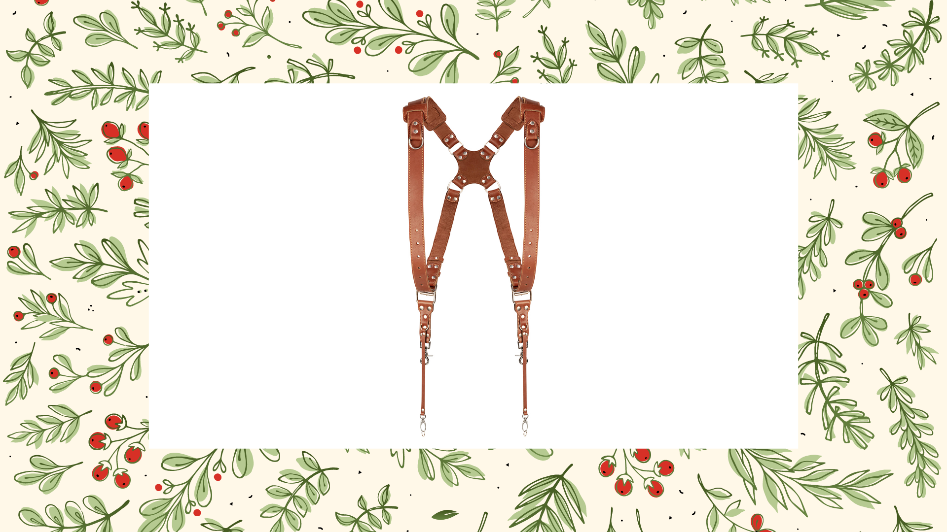 Coiro Padded Harness