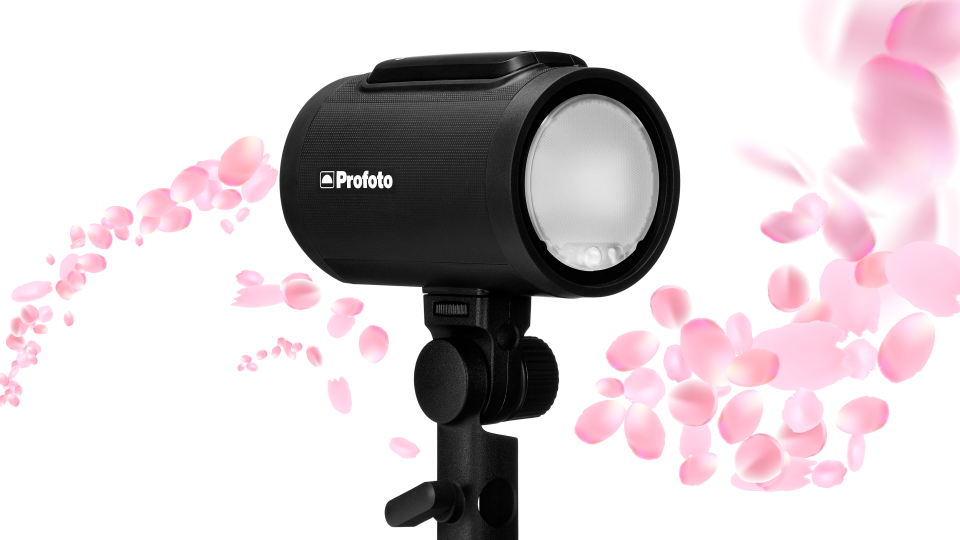 Profoto A2 Monolight