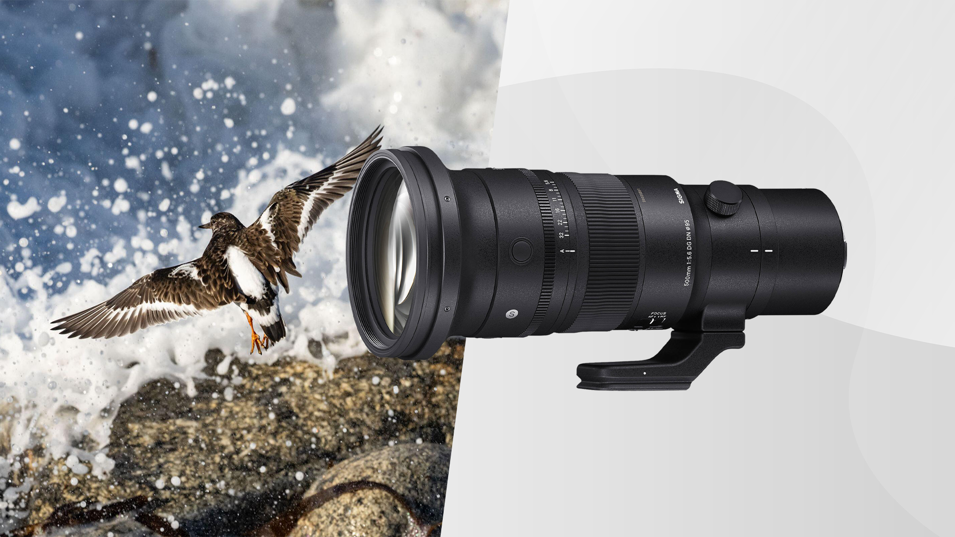 Sigma 500mm f/5.6 DG DN OS Sports Lens