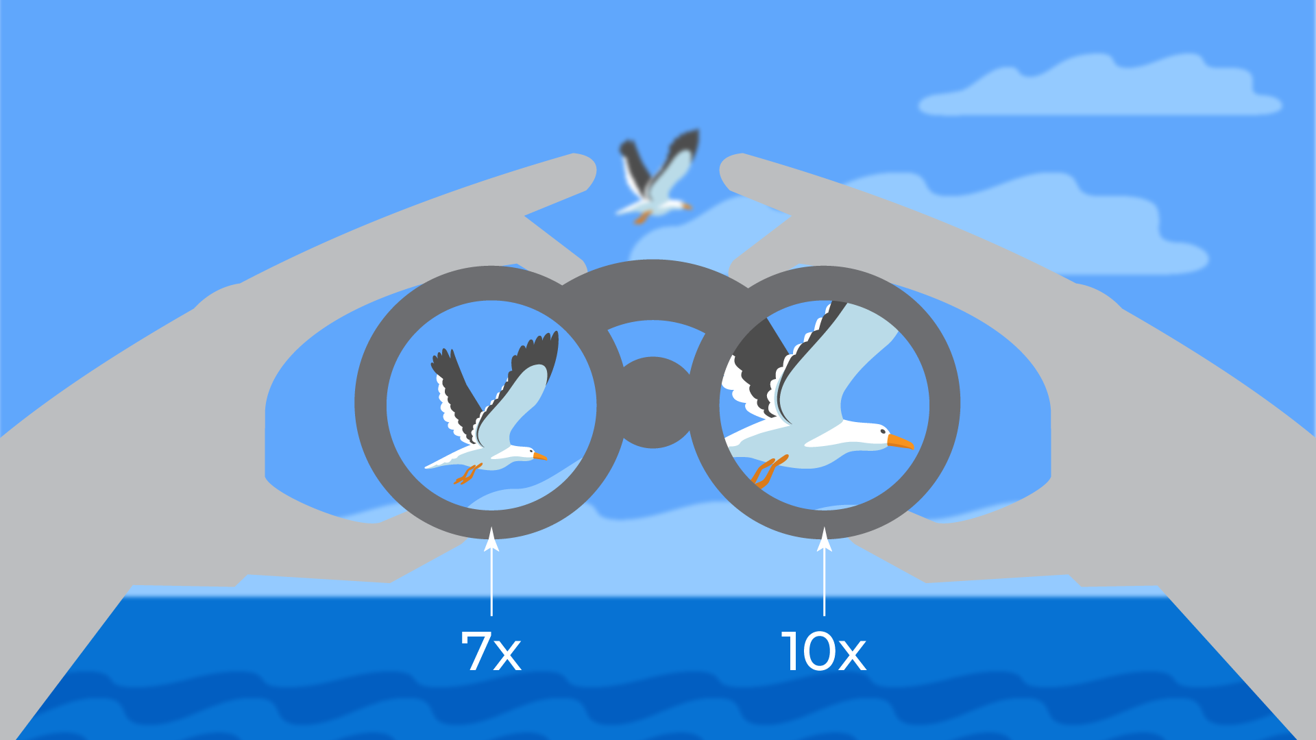 Magnification Diagram