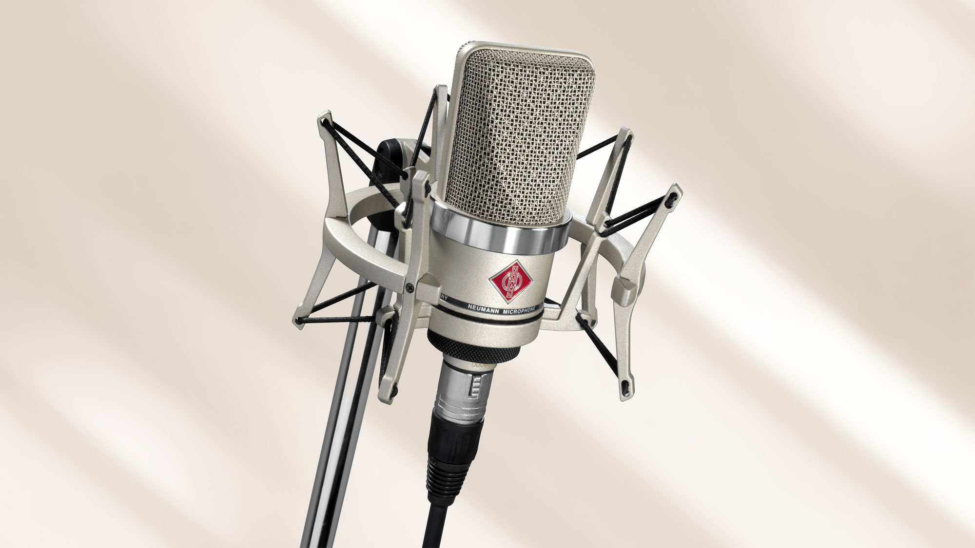 Neumann TLM 102 Studio Set Large-Diaphragm Cardioid Condenser Microphone with Shockmount