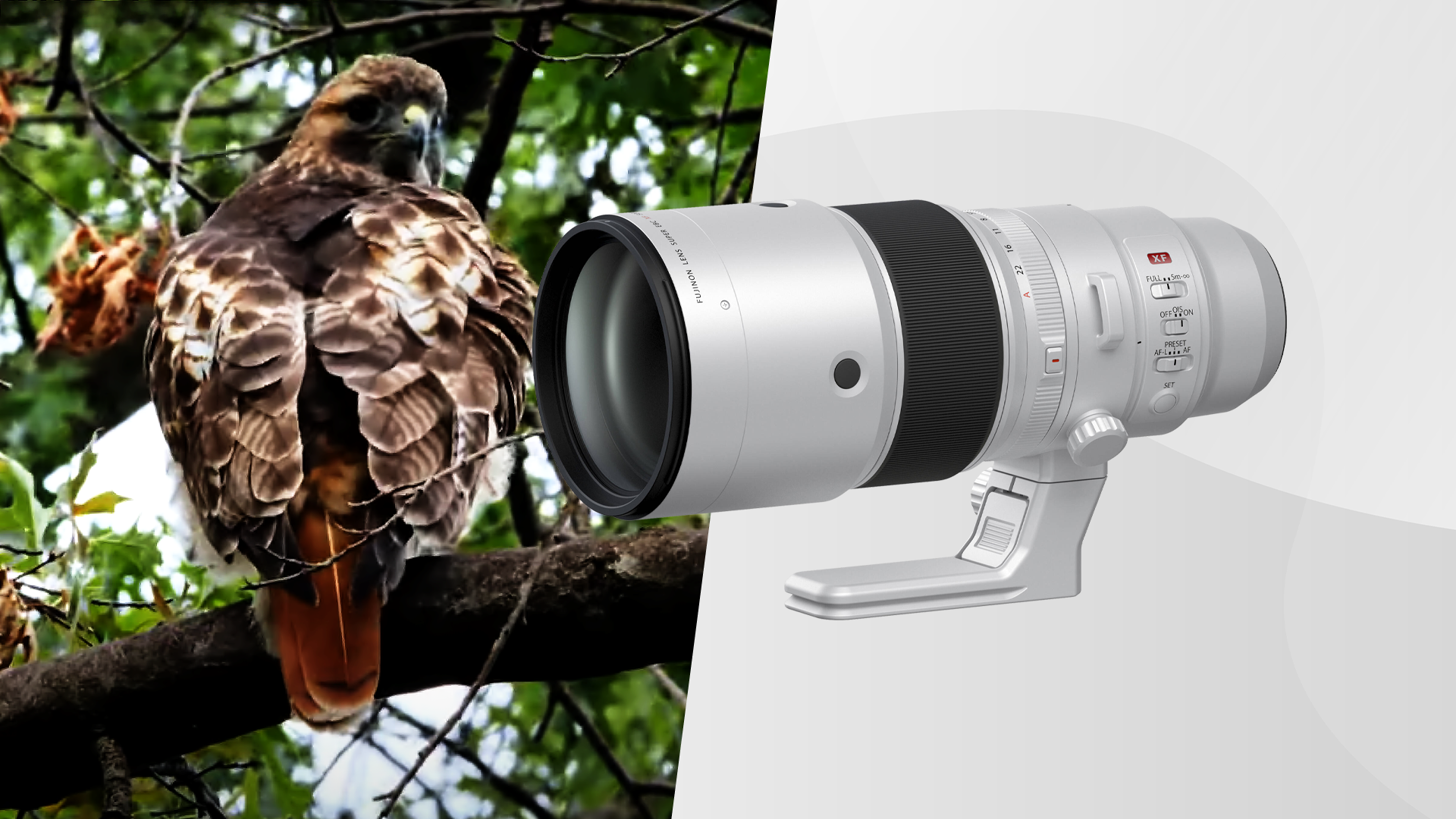 FUJIFILM XF 500mm f/5.6 R LM OIS WR Lens