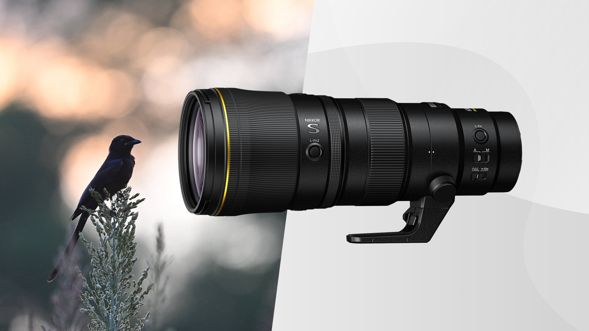 Nikon NIKKOR Z 600mm f/6.3 VR S Lens