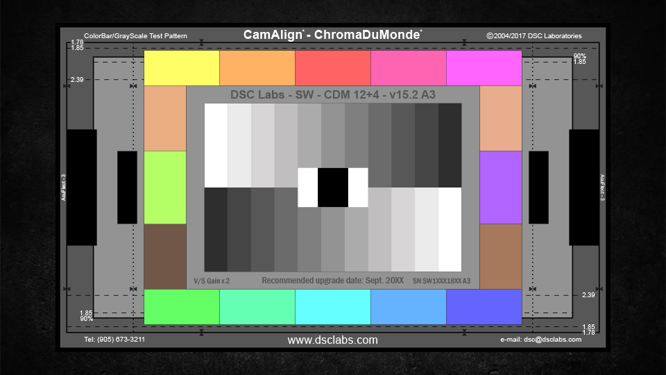 DSC Labs ChromaDuMonde 12+4 Standard CamAlign Chip Chart with Resolution