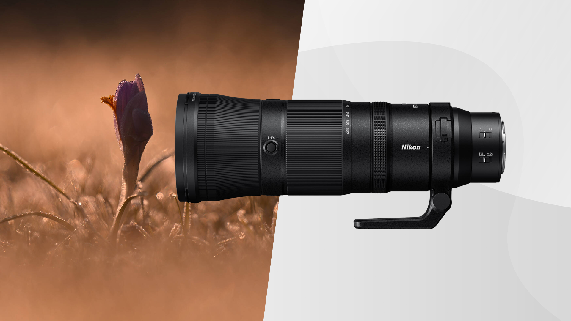 Nikon NIKKOR Z 180-600mm f/5.6-6.3 VR Lens