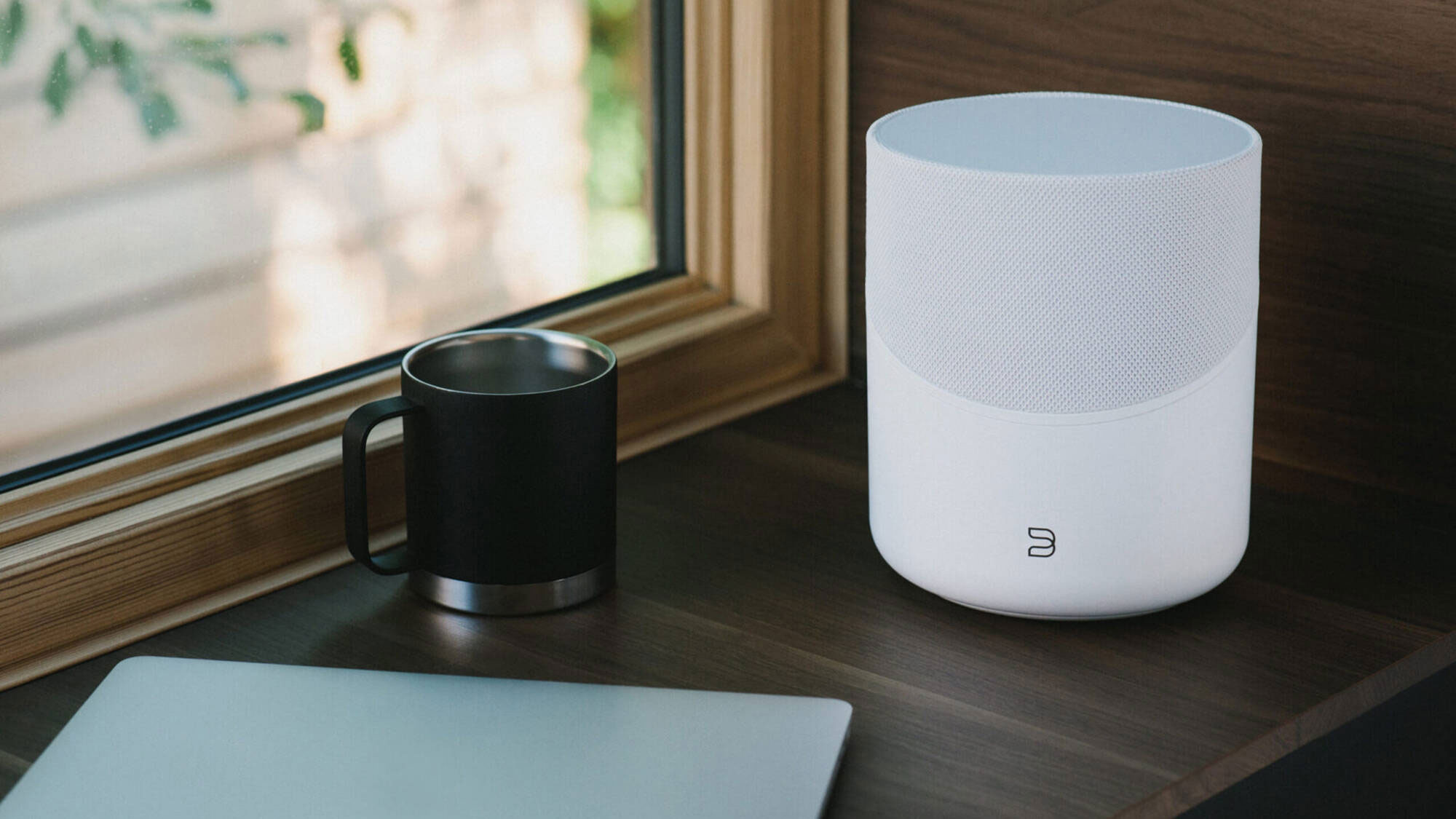 Bluesound P230 PULSE M Wireless Bluetooth Speaker