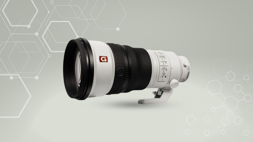 FE 300mm f/2.8 GM