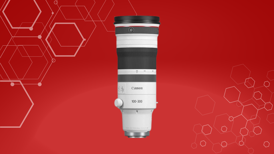 RF 100-300mm f/2.8 L IS USM