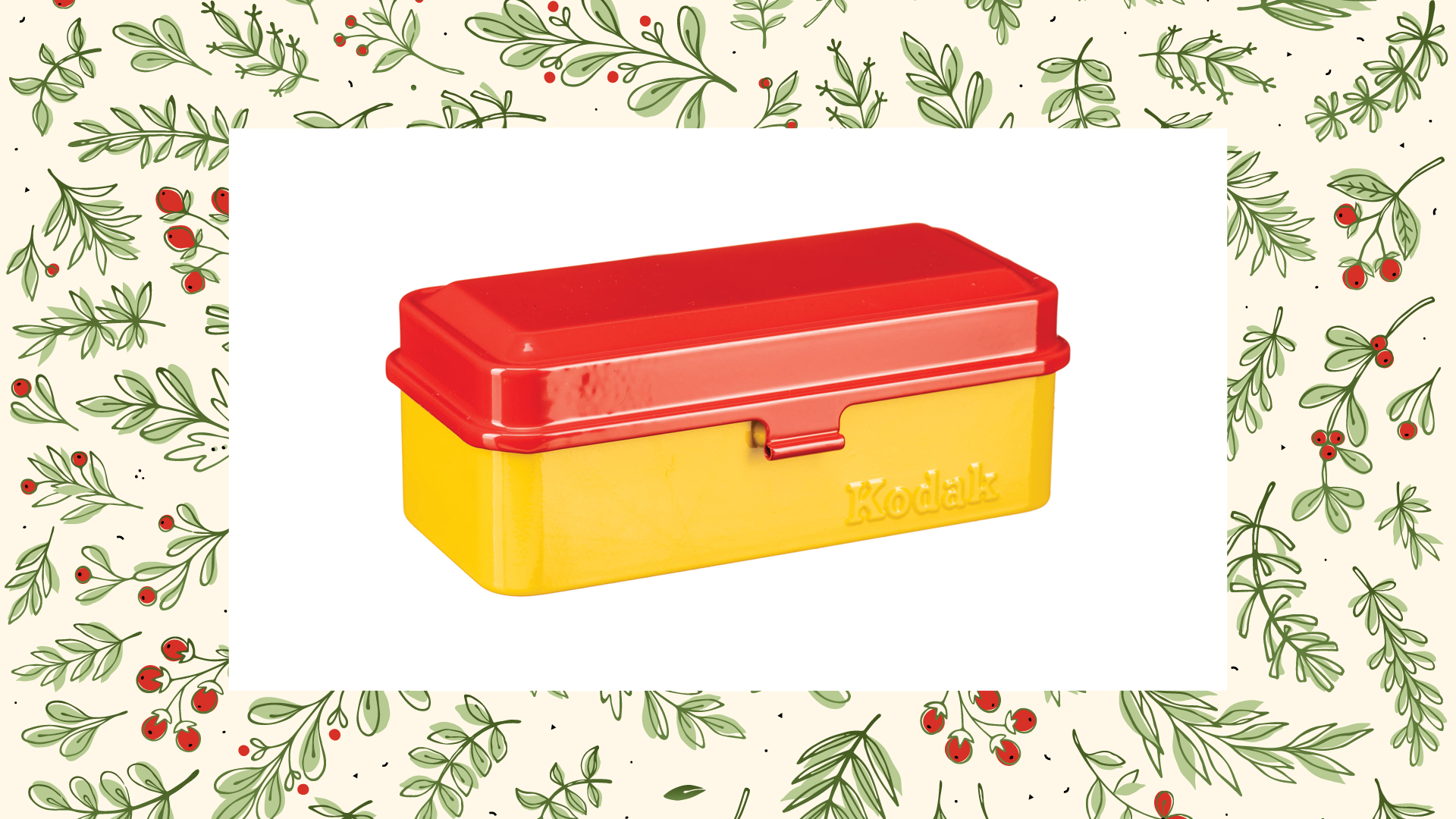 Kodak Steel 120/135mm Film Case