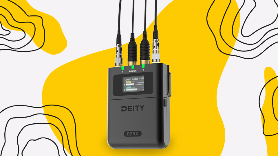 D2RX Dual-Channel Receiver