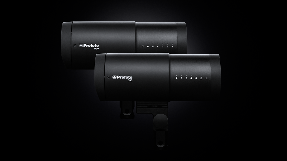 Profoto D30 500Ws Monolight Duo Kit