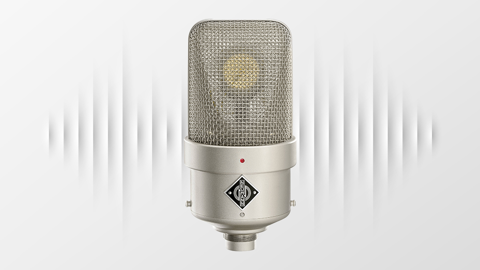 Neumann M 49 V Set Large-Diaphragm Tube Microphone