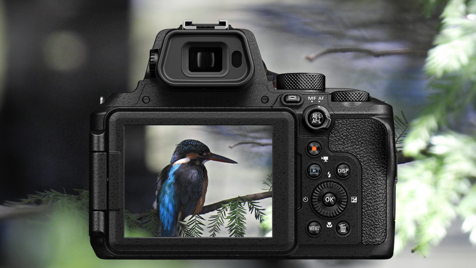 Best Point-and-Shoot Cameras Available Right Now