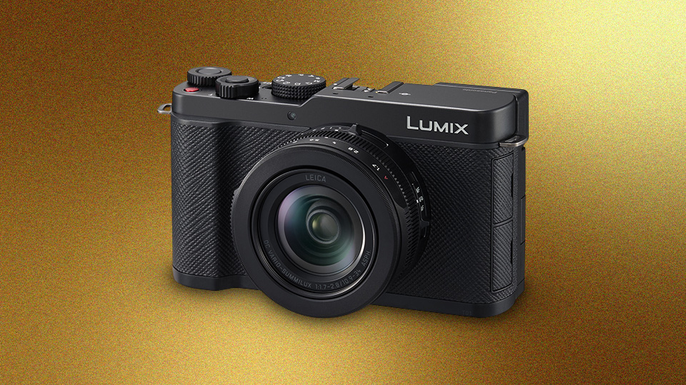 Panasonic LUMIX L10 Digital Camera
