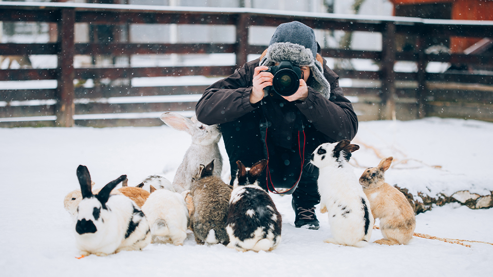 Pet Photography Guide White Balance