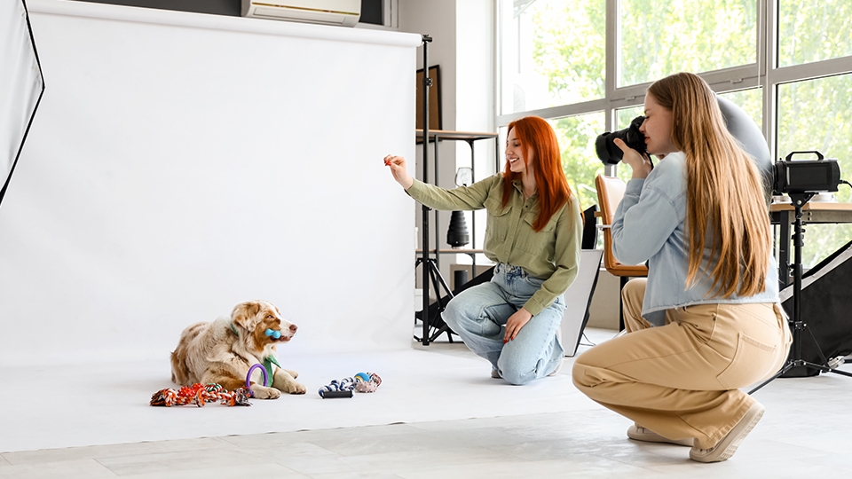 Pet Photography Guide