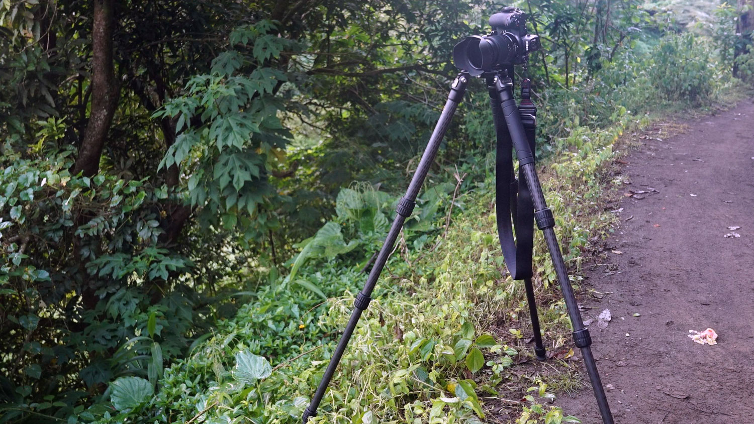 Robus RC-5558 Vantage Series 3 Carbon Fiber Tripod