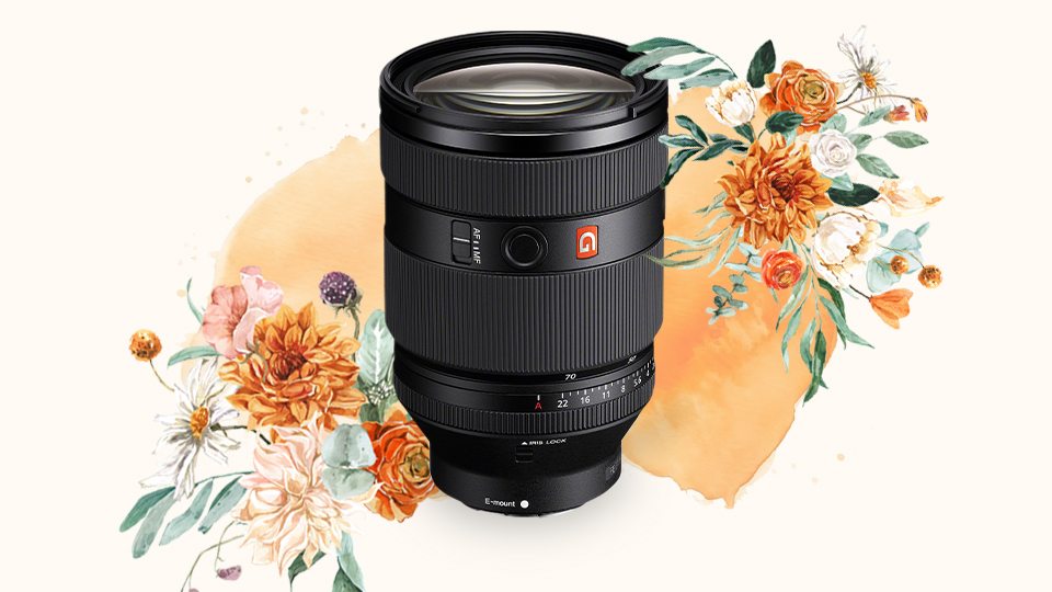 Sony FE 28-70mm f/2 GM Lens