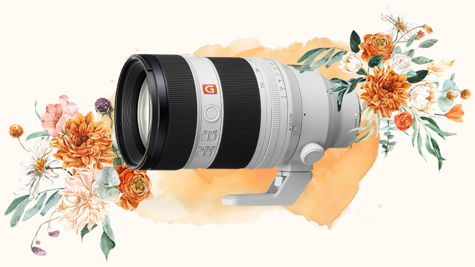 Sony FE 50-150mm f/2 GM Lens