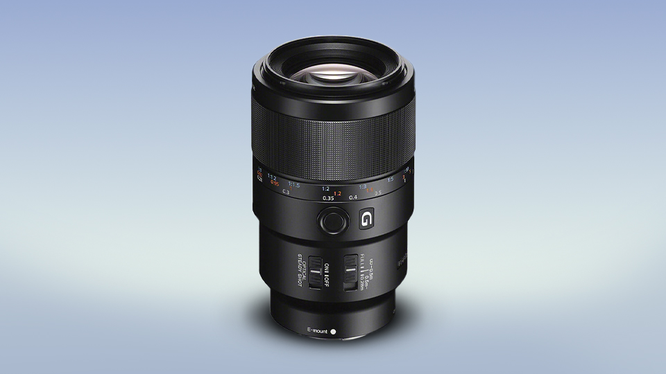 Sony FE 90mm f/2.8 Macro G OSS Lens
