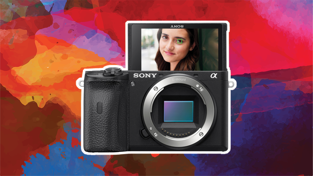 Sony a6600