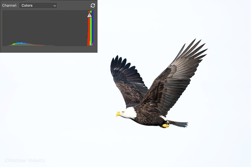 Notice the tiny warning icon indicating that our highlights are clipped?