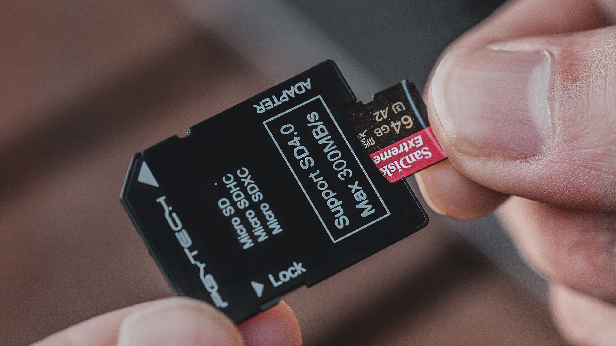Comes with a high-speed Micro SD to SD card adapter.