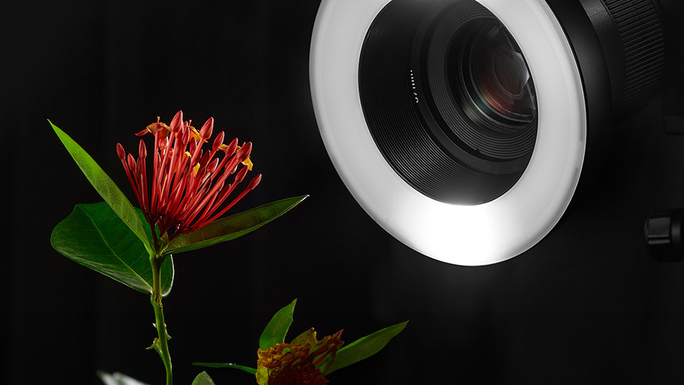 Godox MF-R76 Macro Ring Flash