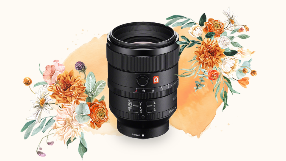 Sony FE 100mm f-2-8 STF GM OSS Lens
