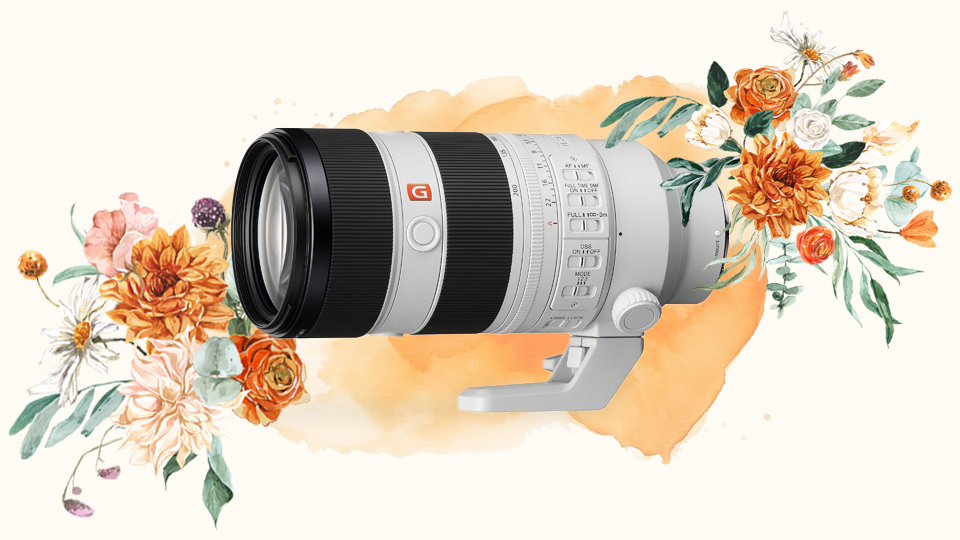 Sony FE 70-200mm f/2.8 GM OSS II