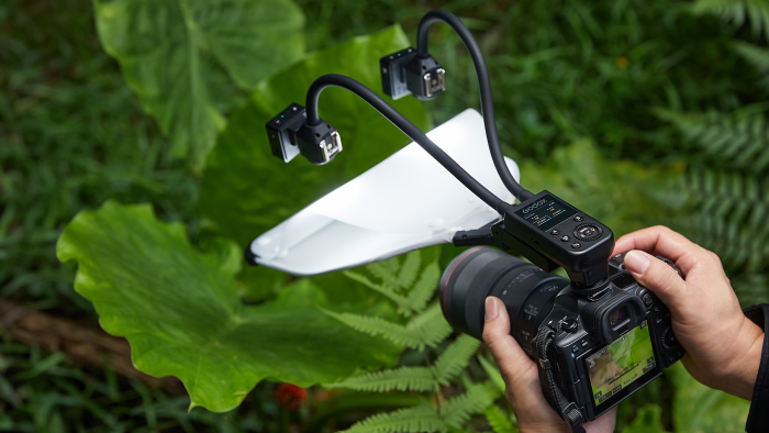Top view of GODOX MA2 Flexible Macro Twin Light with diffuser panel shooting macro photography in a tropical environment